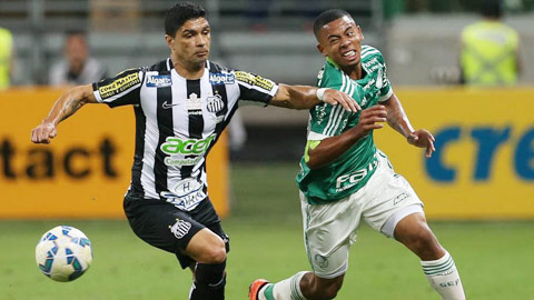 Soi kèo Palmeiras – Parana