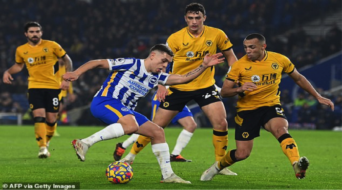 Soi kèo, dự đoán Wolves vs Brighton, 21h00 ngày 30/4 - Ngoại Hạng Anh